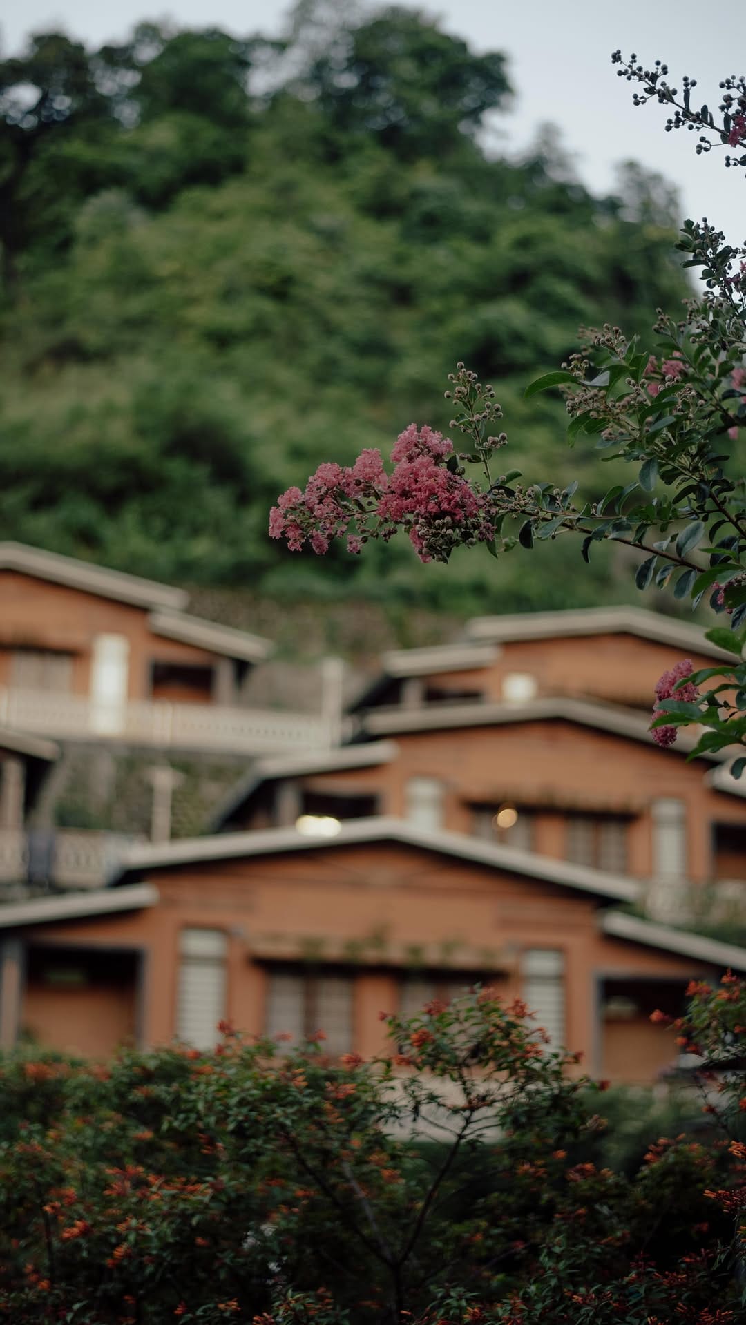 Post 8 by House of Om on Instagram (video)