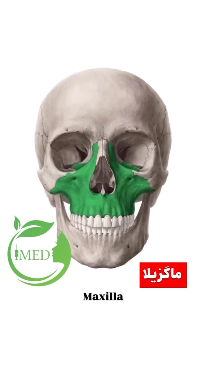 Post 4 by 🔴آموزش بوتاکس،فیلر،فیلر بادی،پیرسینگ،مزوتراپی،میکرونیدلینگ🔴 on Instagram (video)