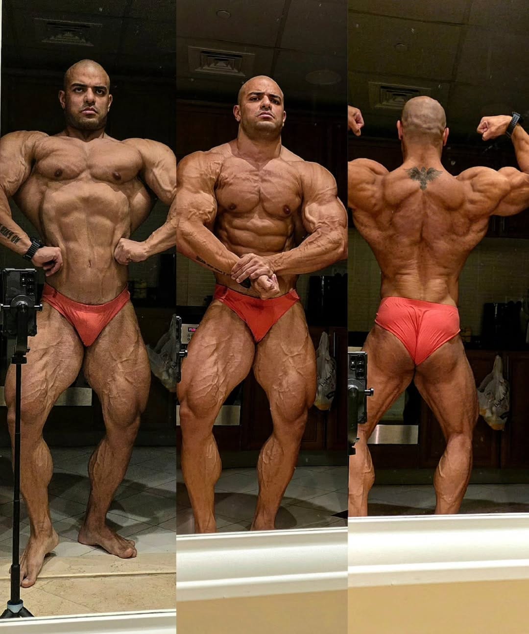Post 8 by IFBB pro mahyar on Instagram (image)