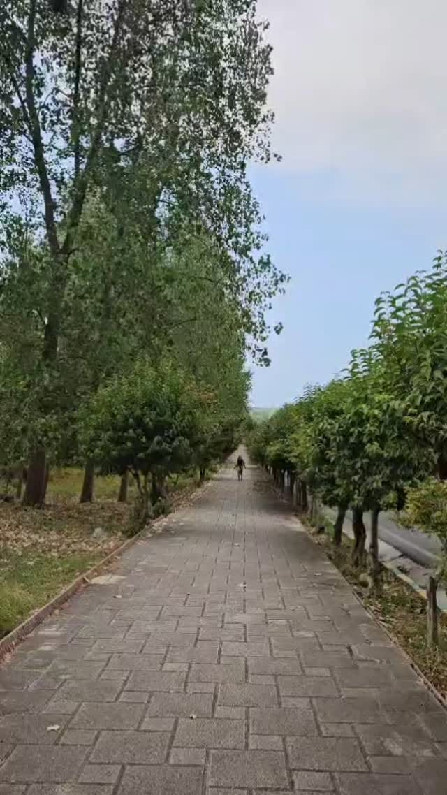 Post 9 by liyosa on Instagram (video)