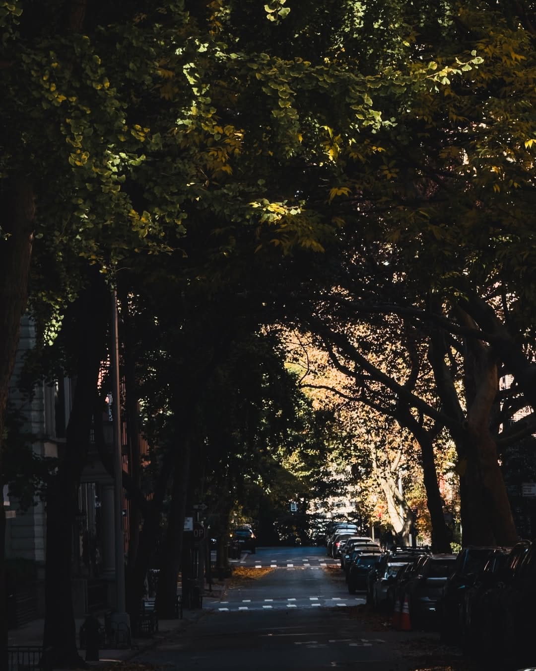 Post 4 by Butti Alsuwaidi on Instagram (image)