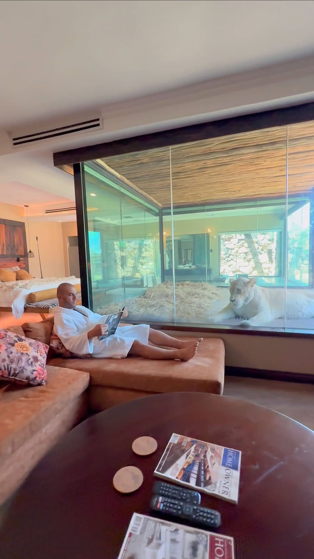 Post 8 by itzik balas on Instagram (video)