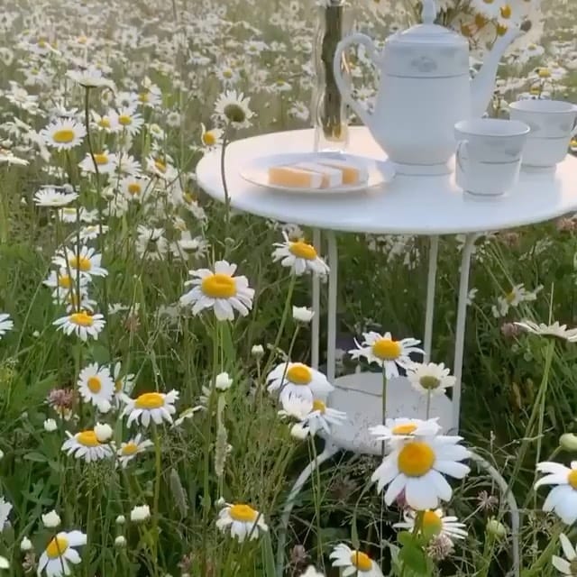 Post 9 by سايح  اماراتي on Instagram (video)