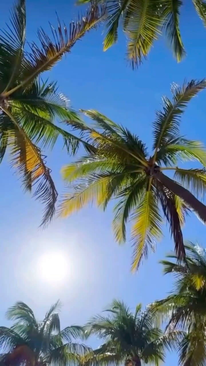 Post 9 by Nedaa Alhasnawi on Instagram (video)