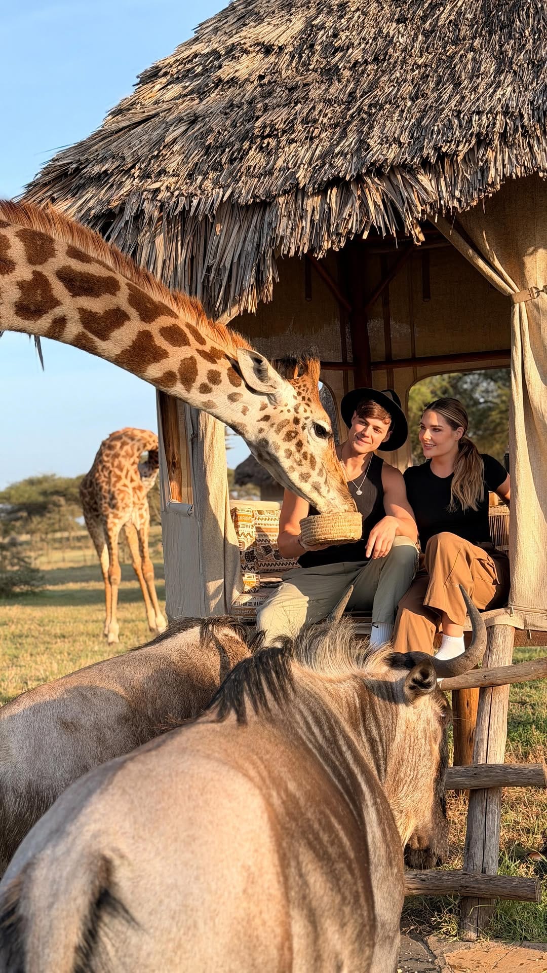 Post 3 by Sarah Harris on Instagram (video)