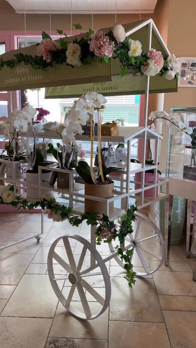 Post 8 by Plaisir Cadeaux et Fleurs on Instagram (video)