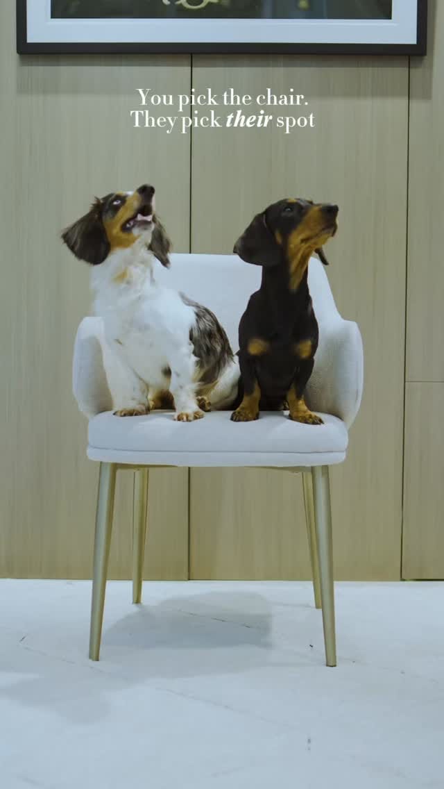 Post 10 by Indigo Living UAE. انديجو ليفينج on Instagram (video)