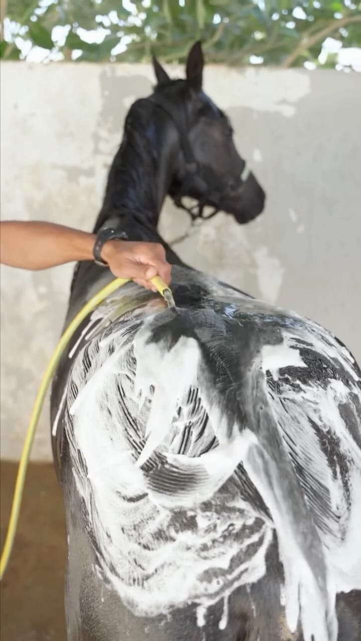 Post 1 by محمد شملان | الخيال on Instagram (video)