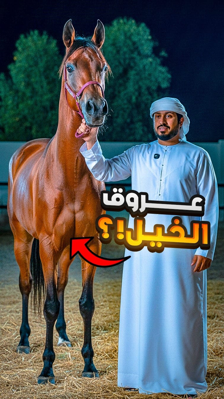 Post 4 by محمد شملان | الخيال on Instagram (video)