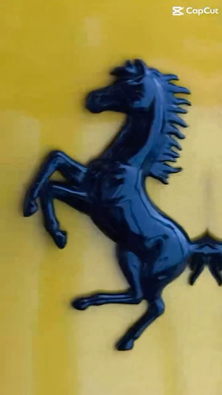 Post 4 by Orion Luxury Services on Instagram (video)
