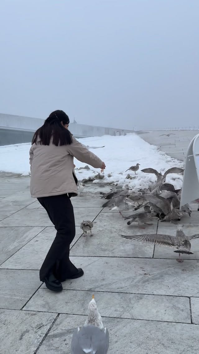 Post 2 by Ziba Ghafar on Instagram (video)
