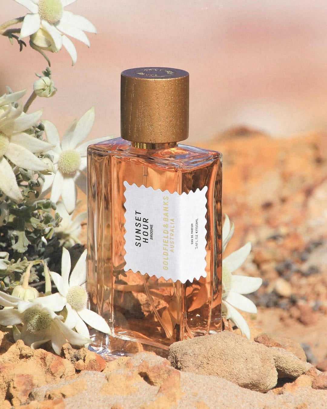 Post 5 by Scentitude on Instagram (image)