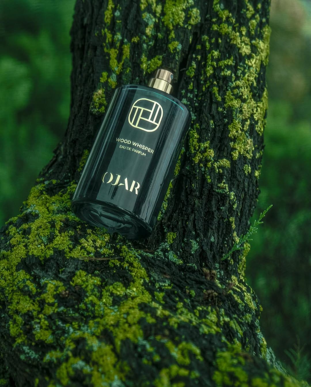 Post 2 by Scentitude on Instagram (image)