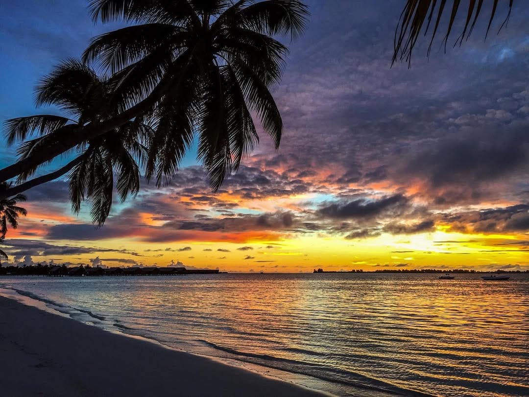 Post 8 by Di & AK on Instagram (image)