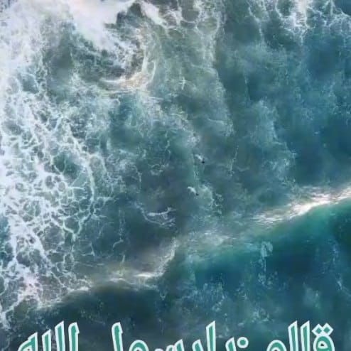 Post 3 by Essam El-Sayed on Instagram (video)
