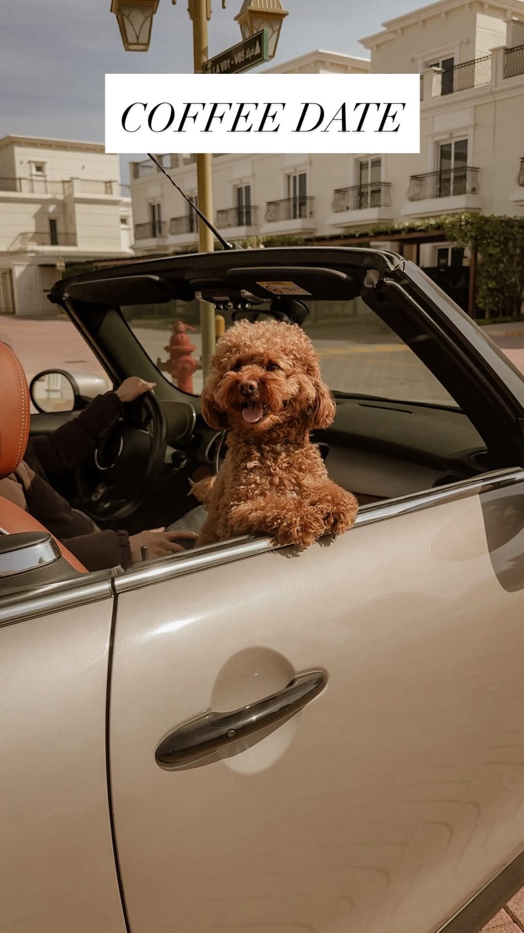 Post 1 by TECHNO PUP on Instagram (video)