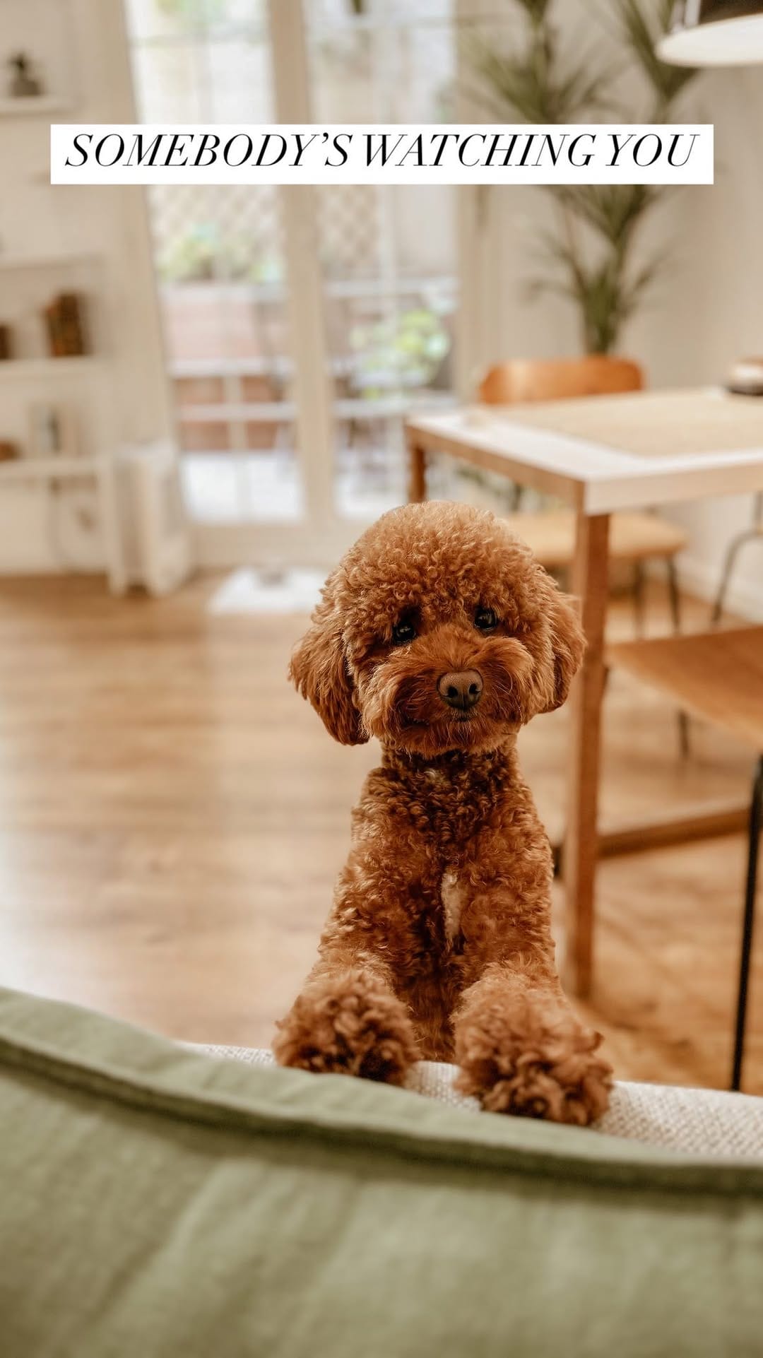 Post 10 by TECHNO PUP on Instagram (video)