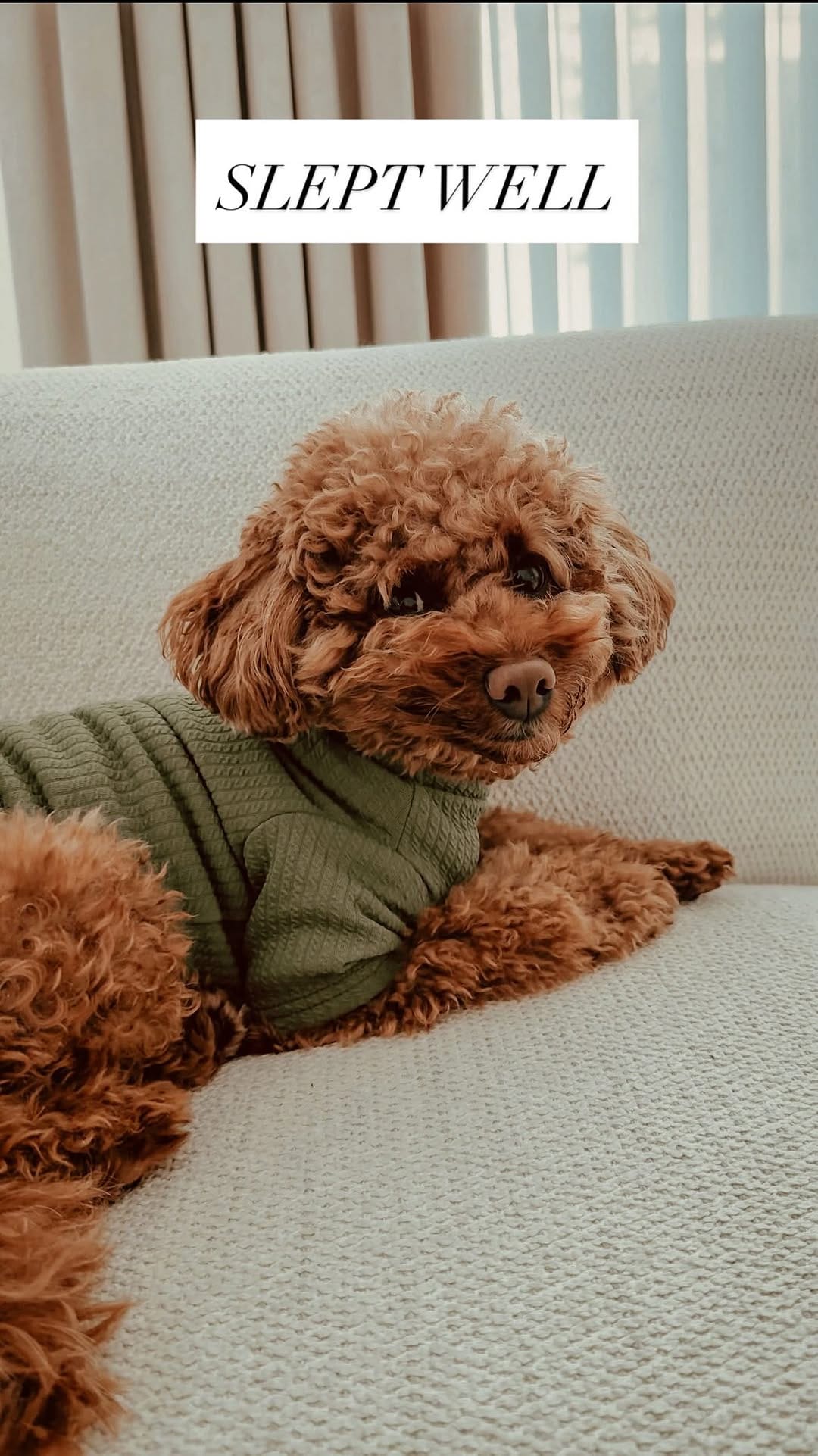 Post 2 by TECHNO PUP on Instagram (video)