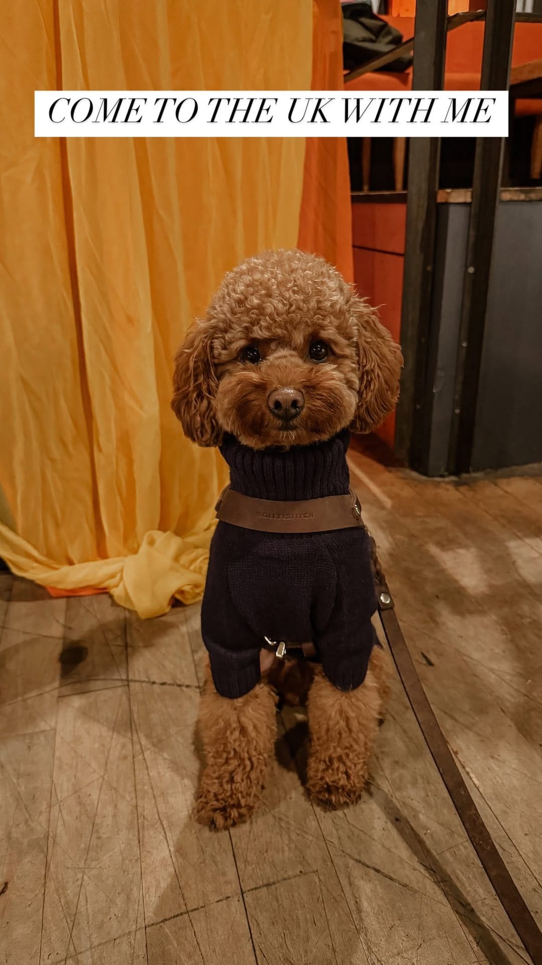 Post 9 by TECHNO PUP on Instagram (video)