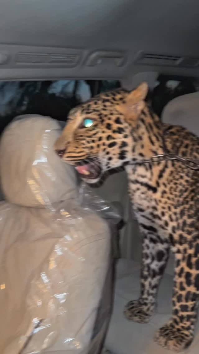 Post 1 by Akdora Alenizi اقدوره العنيزي on Instagram (video)