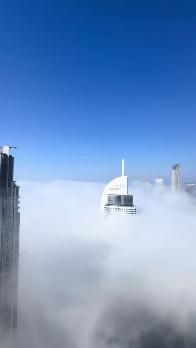 Post 6 by Mustafa Al Ibrahim on Instagram (video)