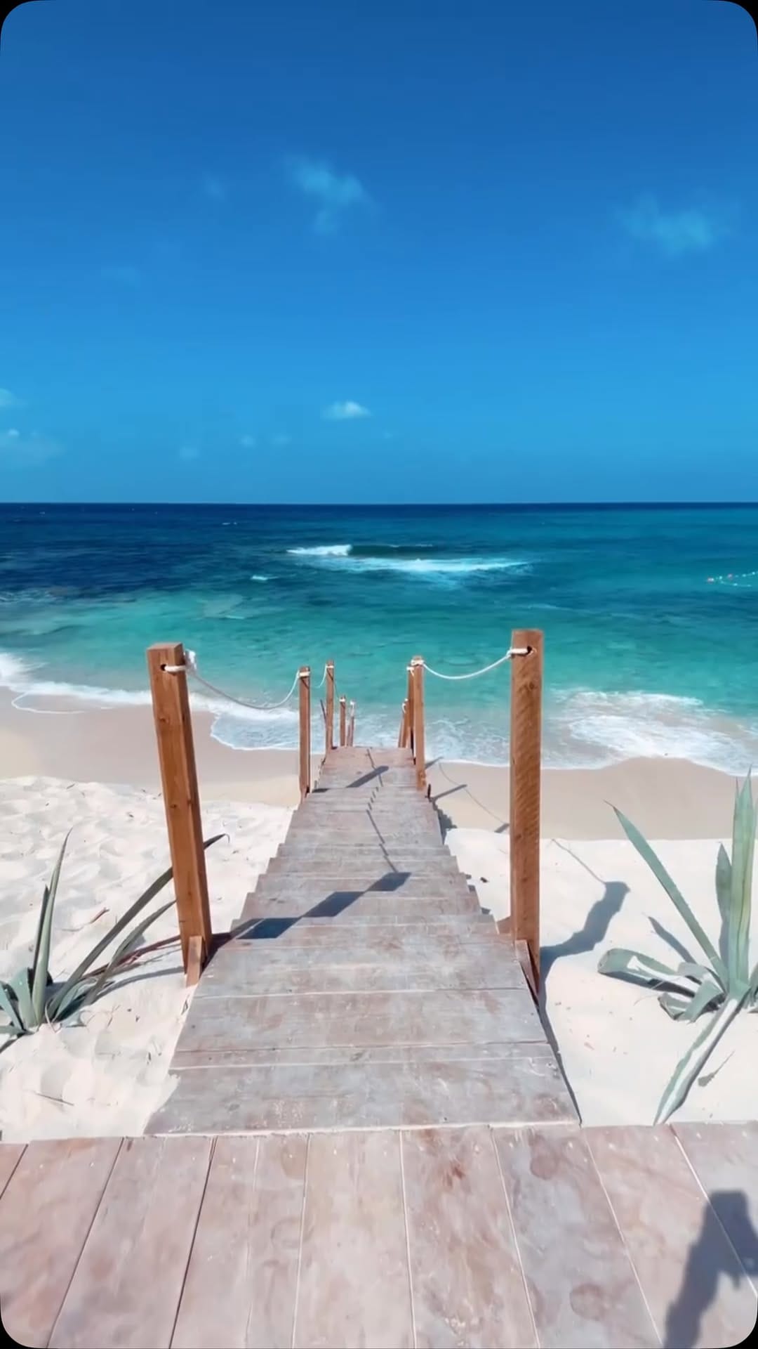 Post 1 by Travel Bug Diaries 🌍 | Hadil on Instagram (video)