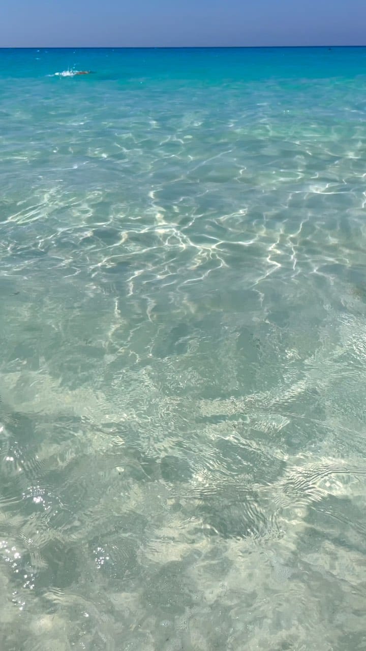 Post 5 by Travel Bug Diaries 🌍 | Hadil on Instagram (video)