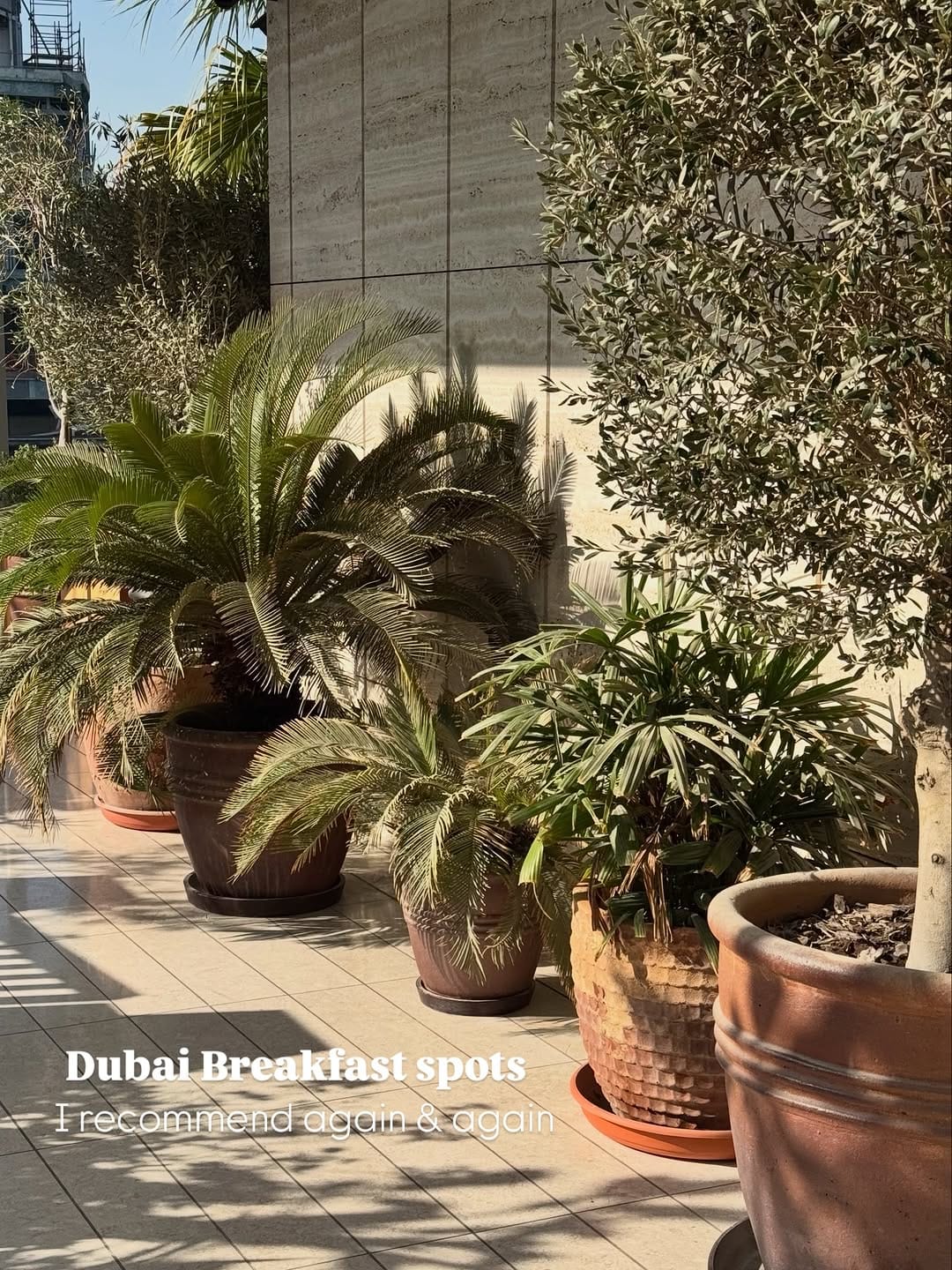 Post 8 by OTZO | Dubai Lifestyle & Luxury Travel on Instagram (carousel)