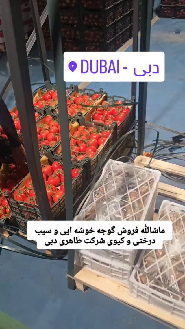 Post 2 by شرکت طاهری امارات دبی صادرات و فروش میوه و تره بار on Instagram (video)