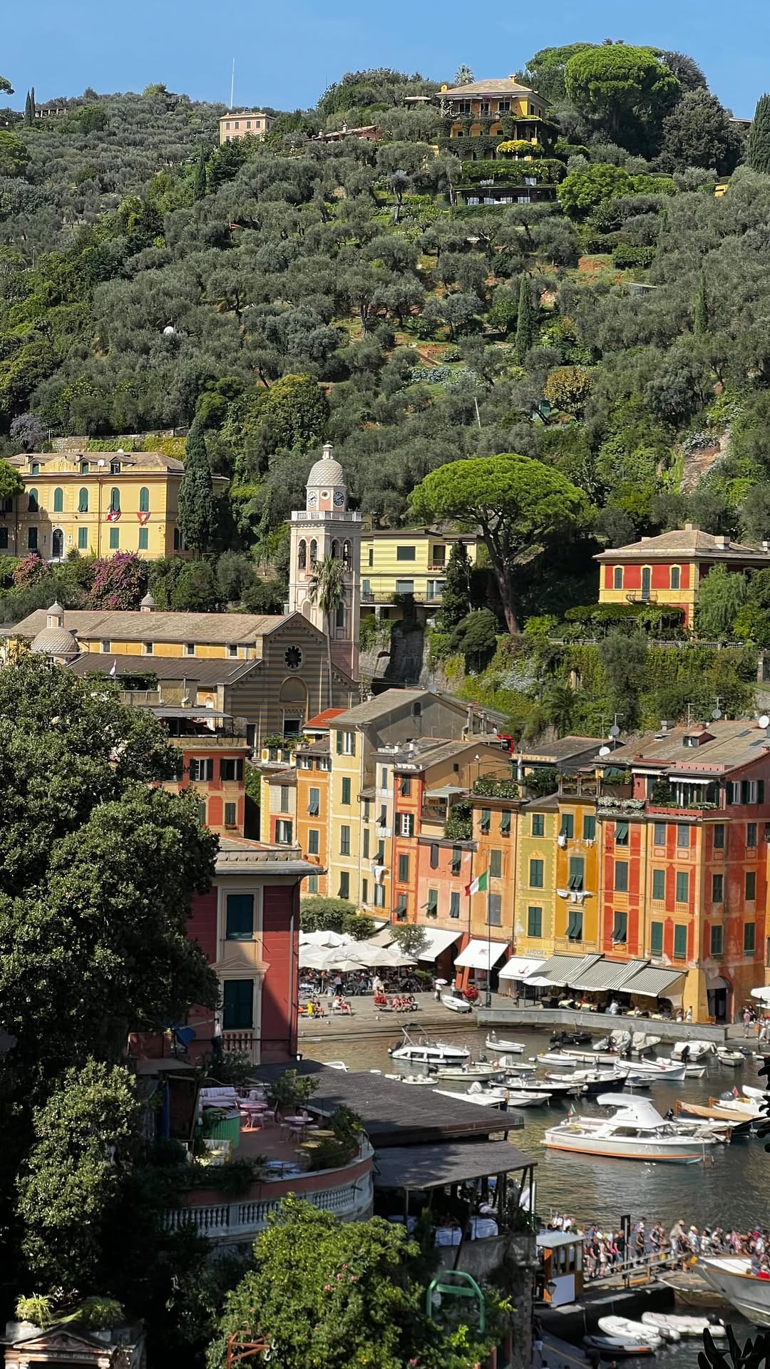 Post 4 by GIULIA DELCARRO on Instagram (video)