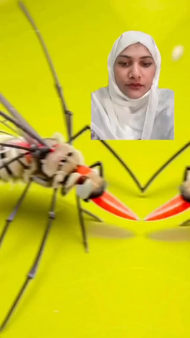 Post 2 by Shaikha Hasan on Instagram (video)