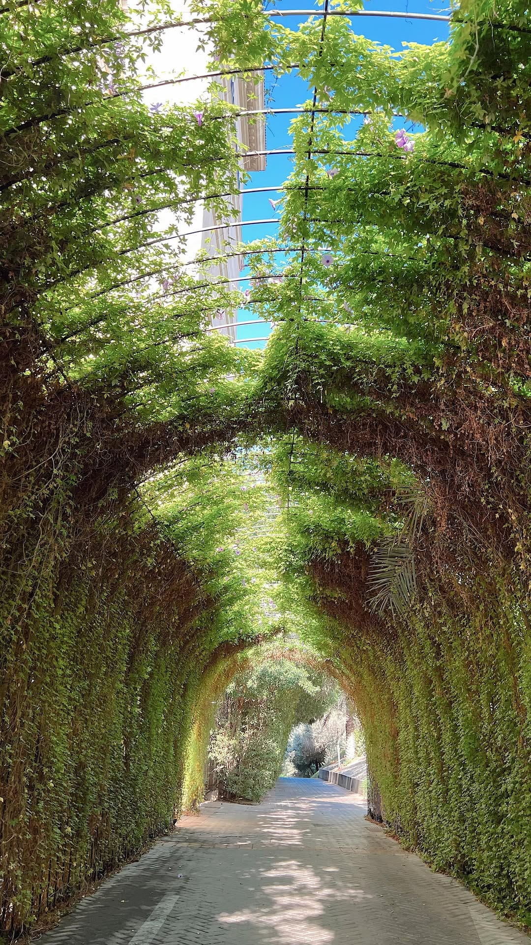 Post 6 by Creative photographer in Dubai on Instagram (video)