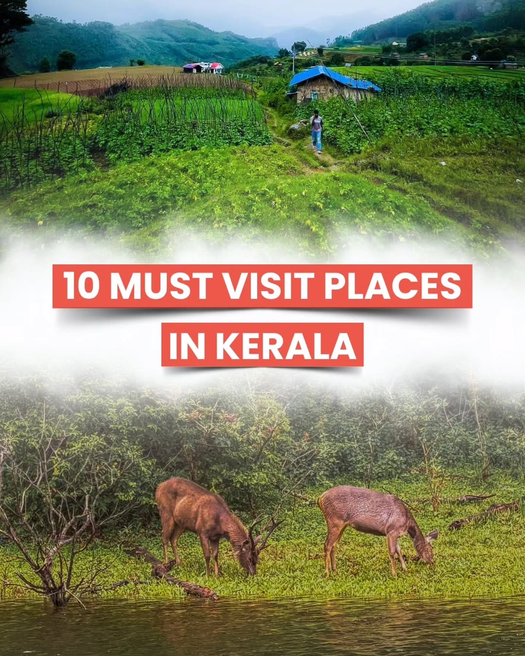 Post 9 by Travel Connection | Travel Agency on Instagram (carousel)
