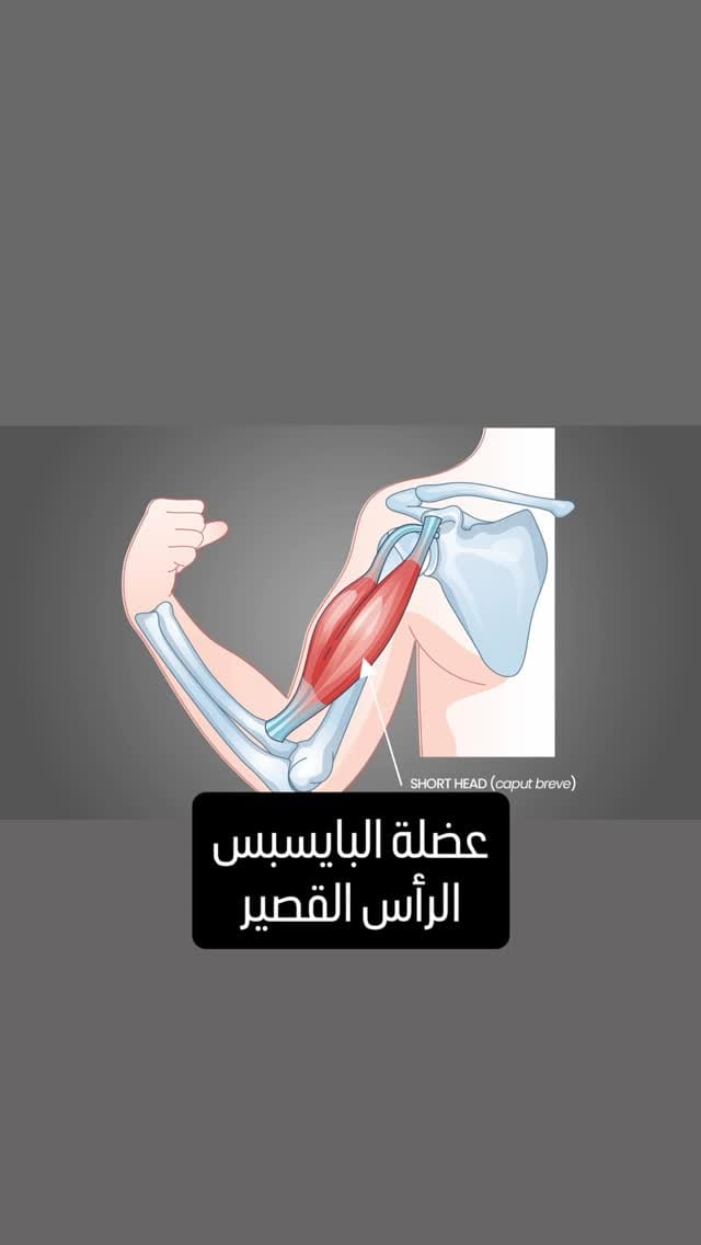 Post 7 by OMAR BLAIBLEH on Instagram (video)