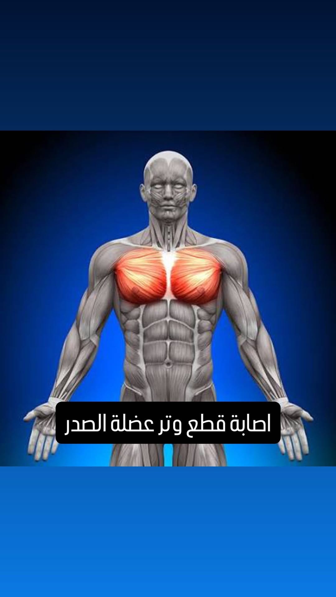 Post 2 by OMAR BLAIBLEH on Instagram (video)