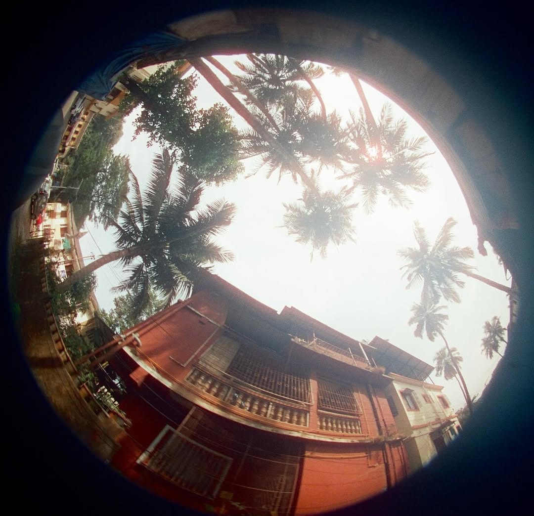 Post 3 by Analog The Room on Instagram (image)