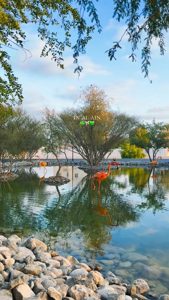 Post 5 by 🥀Benazir Hasan 🦩 on Instagram (video)