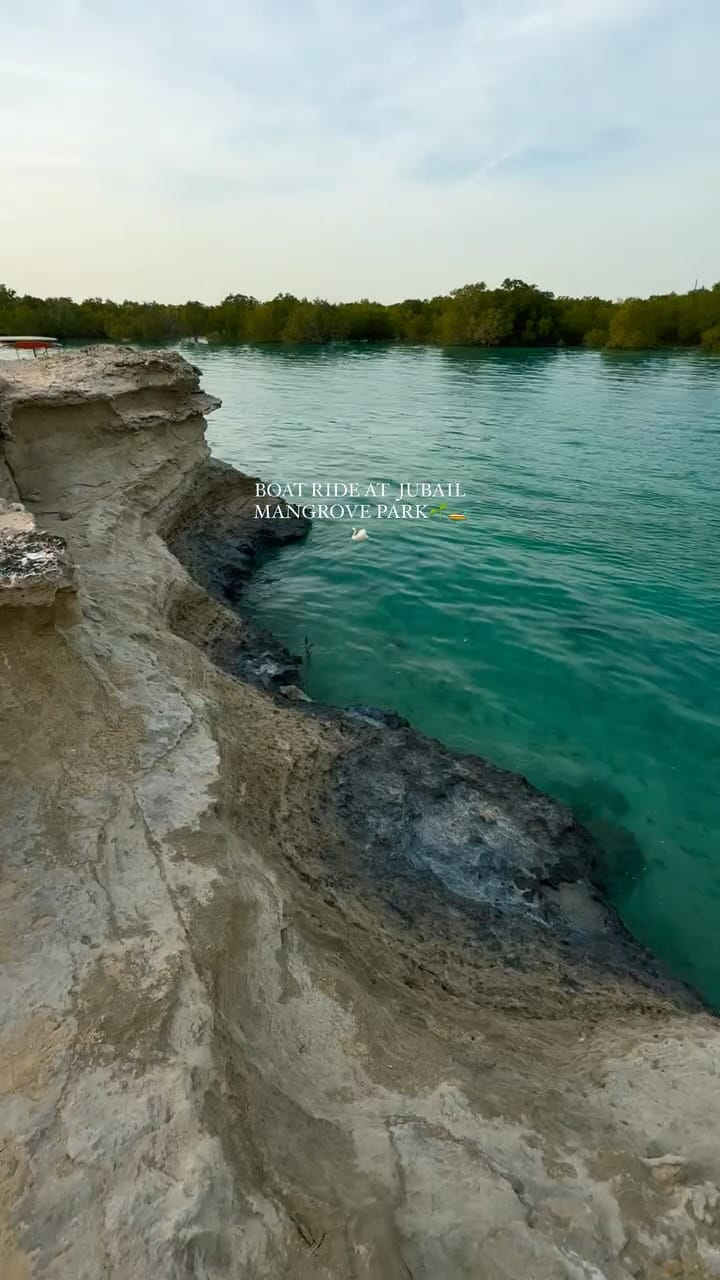 Post 1 by 🥀Benazir Hasan 🦩 on Instagram (video)