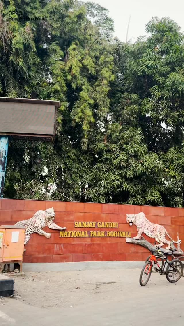 Post 3 by Jyoti Jain on Instagram (video)