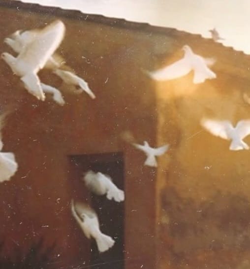 Post 7 by SĀDH on Instagram (image)