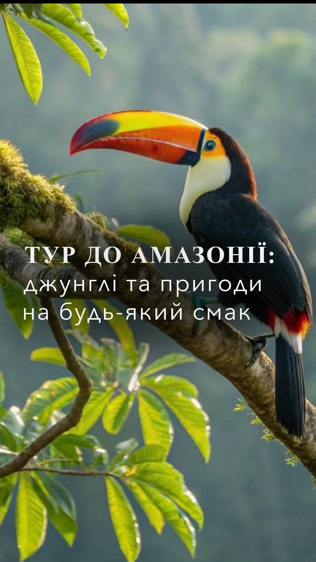 Post 2 by YANA LUXURY TRAVEL on Instagram (video)