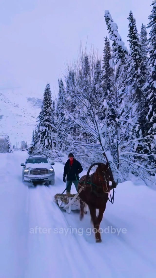Post 5 by Thrill O Trips|TRIP COMMUNITY™ on Instagram (video)
