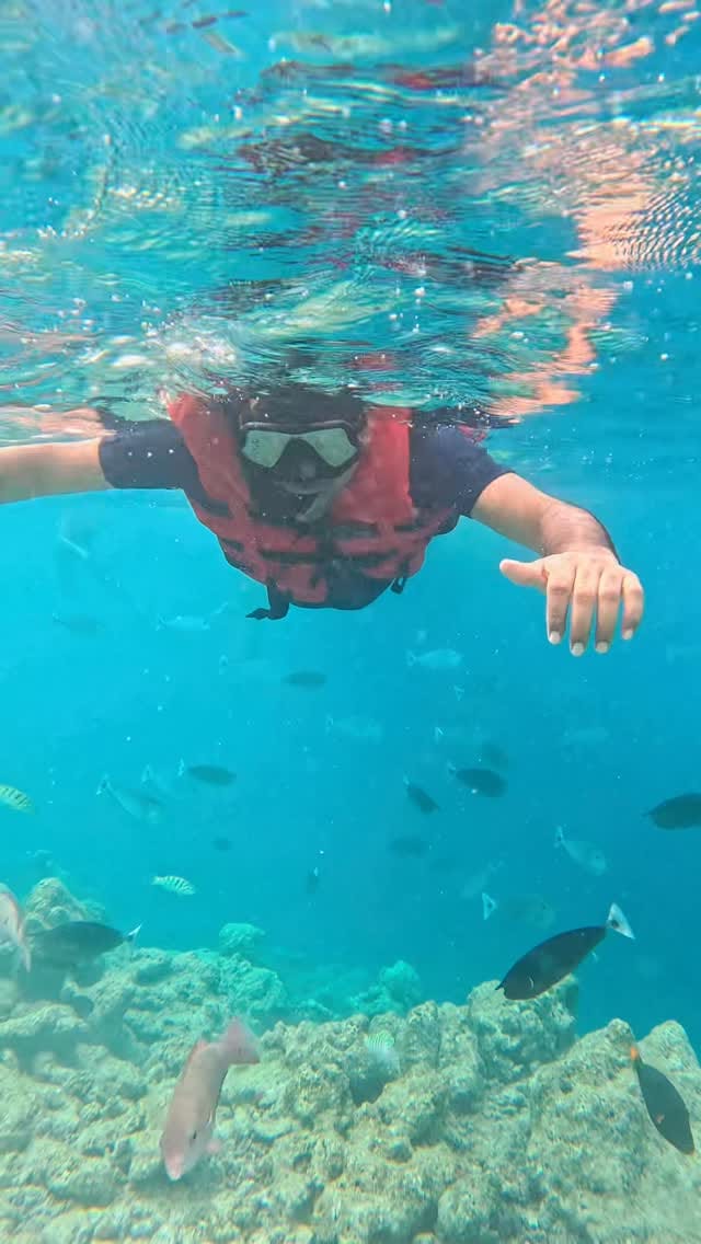 Post 2 by Thrill O Trips|TRIP COMMUNITY™ on Instagram (video)