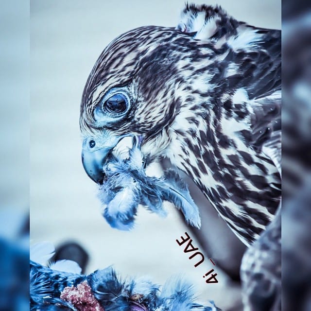 Post 7 by Uk4i on Instagram (image)