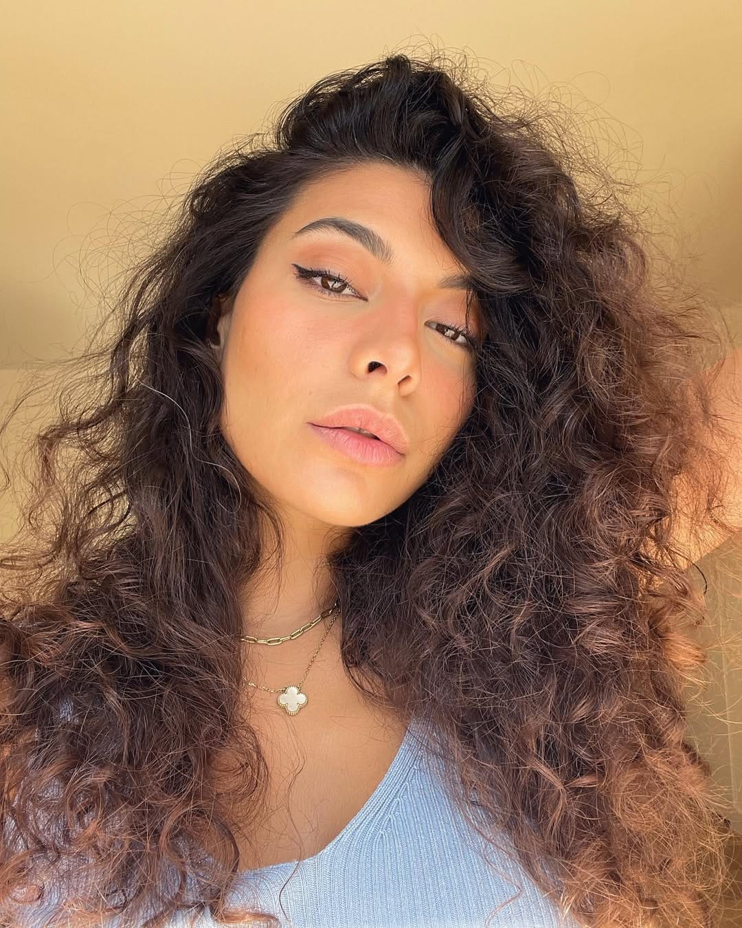 Post 2 by Dina Hungarian/Egyptian on Instagram (image)