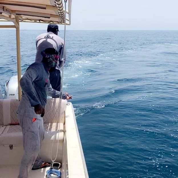 Post 3 by Mohd Mousa on Instagram (video)