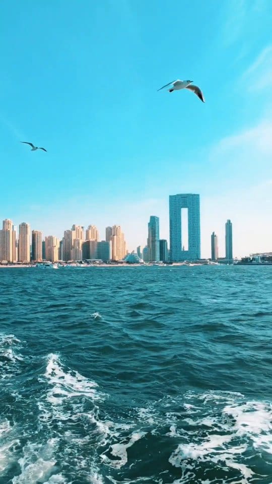 Post 7 by Peruvian in Abu Dhabi 🇦🇪 on Instagram (video)