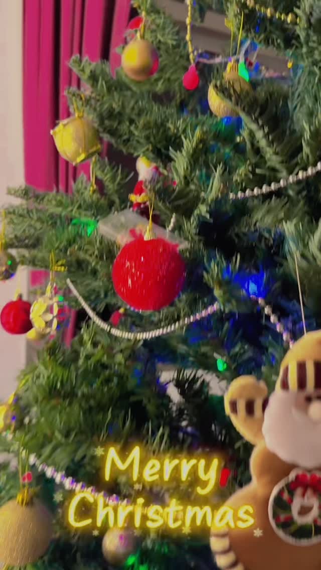 Post 10 by Medha Verma on Instagram (video)
