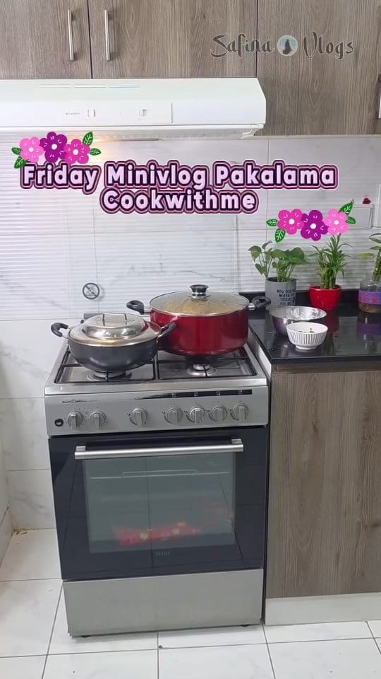 Post 8 by safina vlogs on Instagram (video)