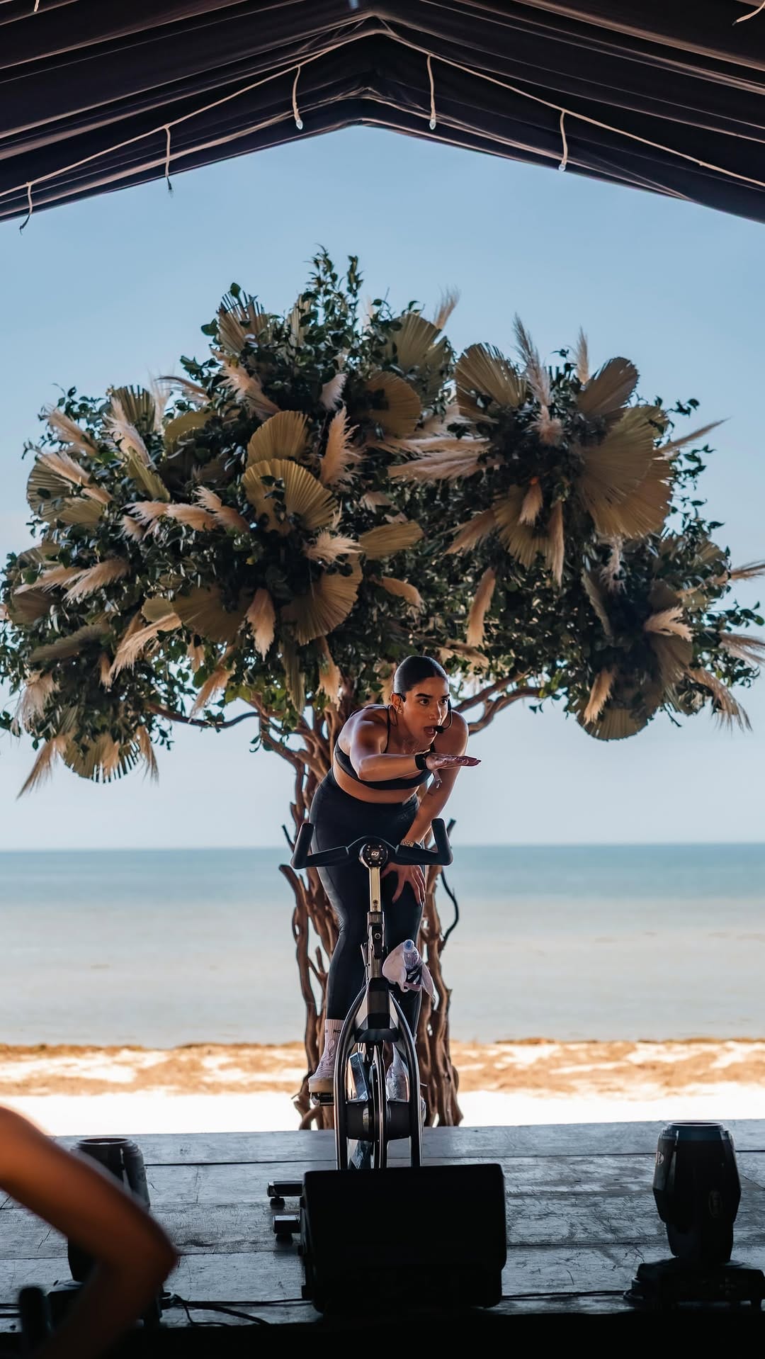 Post 5 by Mariana Guemez on Instagram (video)
